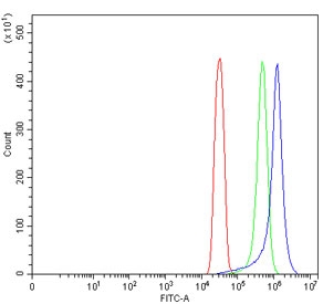 Flow cytometry testing of human SiHa cells with TM7SF3 antibody at 1ug/million cells (blocked with goat sera); Red=cells alone, Green=isotype control, Blue= TM7SF3 antibody.~