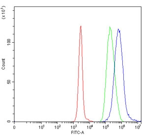Flow cytometry testing of human Daudi cells with TIGD3 antibody at 1ug/million cells (blocked with goat sera); Red=cells alone, Green=isotype control, Blue= TIGD3 antibody.~