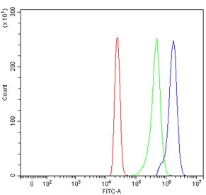 Flow cytometry testing of human HL60 cells with SDCCAG3 antibody at 1ug/million cells (blocked with goat sera); Red=cells alone, Green=isotype control, Blue= SDCCAG3 antibody.~