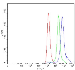Flow cytometry testing of human HEL cells with TAL1 antibody at 1ug/million cells (blocked with goat sera); Red=cells alone, Green=isotype control, Blue= TAL1 antibody.~
