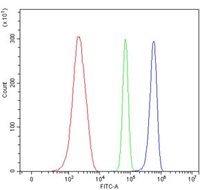 Flow cytometry testing of mouse ANA-1 cells with Plagl1 antibody at 1ug/million cells (blocked with goat sera); Red=cells alone, Green=isotype control, Blue= Plagl1 antibody.