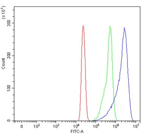 Flow cytometry testing of human HL60 cells with SCYL1 antibody at 1ug/million cells (blocked with goat sera); Red=cells alone, Green=isotype control, Blue= SCYL1 antibody.~