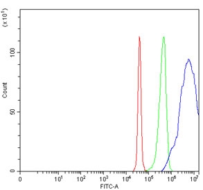 Flow cytometry testing of human SiHa cells with SAP30 antibody at 1ug/million cells (blocked with goat sera); Red=cells alone, Green=isotype control, Blue= SAP30 antibody.~