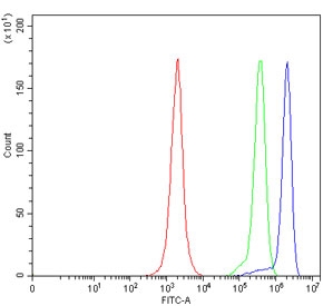 Flow cytometry testing of human JK cells with THEMIS antibody at 1ug/million cells (blocked with goat sera); Red=cells alone, Green=isotype control, Blue= THEMIS antibody.~