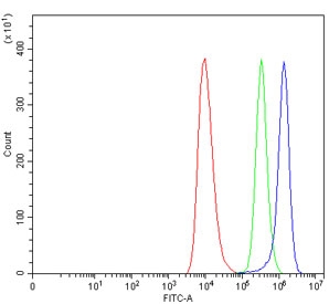 Flow cytometry testing of human HEL cells with TREML2 antibody at 1ug/million cells (blocked with goat sera); Red=cells alone, Green=isotype control, Blue= TREML2 antibody.~