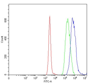 Flow cytometry testing of human Daudi cells with UBE2O antibody at 1ug/million cells (blocked with goat sera); Red=cells alone, Green=isotype control, Blue= UBE2O antibody.~