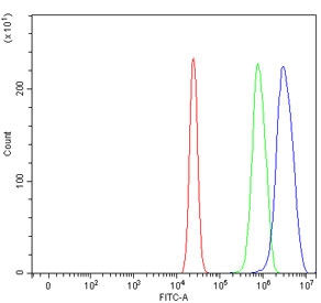 Flow cytometry testing of human U-2 OS cells with Serpin B13 antibody at 1ug/million cells (blocked with goat sera); Red=cells alone, Green=isotype control, Blue= Serpin B13 antibody.~