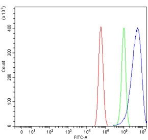 Flow cytometry testing of human U-87 MG cells with PILT antibody at 1ug/million cells (blocked with goat sera); Red=cells alone, Green=isotype control, Blue= PILT antibody.