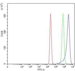 Flow cytometry testing of human U-2 OS cells with WDR7 antibody at 1ug/million cells (blocked with goat sera); Red=cells alone, Green=isotype control, Blue= WDR7 antibody.