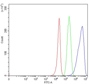 Flow cytometry testing of human 293T cells with TRMT44 antibody at 1ug/million cells (blocked with goat sera); Red=cells alone, Green=isotype control, Blue= TRMT44 antibody.~