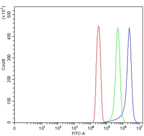 Flow cytometry testing of human SiHa cells with TMC7 antibody at 1ug/million cells (blocked with goat sera); Red=cells alone, Green=isotype control, Blue= TMC7 antibody.