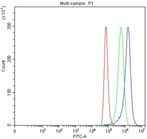 Flow cytometry testing of human HeLa cells with TRIM36 antibody at 1ug/million cells (blocked with goat sera); Red=cells alone, Green=isotype control, Blue= TRIM36 antibody.
