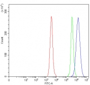 Flow cytometry testing of human Daudi cells with OGDH antibody at 1ug/million cells (blocked with goat sera); Red=cells alone, Green=isotype control, Blue= OGDH antibody.