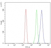 Flow cytometry testing of fixed and permeabilized human HL60 cells with RIO2 antibody at 1ug/million cells (blocked with goat sera); Red=cells alone, Green=isotype control, Blue= RIO2 antibody.