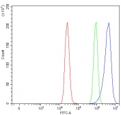 Flow cytometry testing of fixed and permeabilized human MCF7 cells with PPP1R11 antibody at 1ug/million cells (blocked with goat sera); Red=cells alone, Green=isotype control, Blue= PPP1R11 antibody.