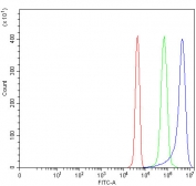 Flow cytometry testing of fixed and permeabilized human JK cells with NAAA antibody at 1ug/million cells (blocked with goat sera); Red=cells alone, Green=isotype control, Blue= NAAA antibody.