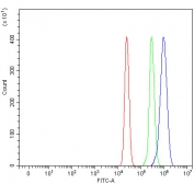 Flow cytometry testing of fixed and permeabilized human U937 cells with PIGV antibody at 1ug/million cells (blocked with goat sera); Red=cells alone, Green=isotype control, Blue= PIGV antibody.