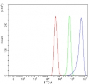Flow cytometry testing of fixed and permeabilized human U-251 cells with ROCK1 antibody at 1ug/million cells (blocked with goat sera); Red=cells alone, Green=isotype control, Blue= ROCK1 antibody.