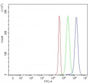 Flow cytometry testing of fixed and permeabilized human JK cells with 3BP2 antibody at 1ug/million cells (blocked with goat sera); Red=cells alone, Green=isotype control, Blue= 3BP2 antibody.