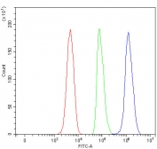 Flow cytometry testing of fixed and permeabilized human SH-SY5Y cells with RUFY3 antibody at 1ug/million cells (blocked with goat sera); Red=cells alone, Green=isotype control, Blue= RUFY3 antibody.