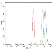 Flow cytometry testing of fixed and permeabilized human 293T cells with TTC39A antibody at 1ug/million cells (blocked with goat sera); Red=cells alone, Green=isotype control, Blue= TTC39A antibody.