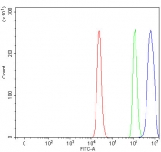 Flow cytometry testing of fixed and permeabilized human RT4 cells with PSD3 antibody at 1ug/million cells (blocked with goat sera); Red=cells alone, Green=isotype control, Blue= PSD3 antibody.