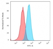 Flow cytometry testing of human MOLT-4 cells with CD2 antibody (clone UMCD2); Red=isotype control, Blue= CD2 antibody.