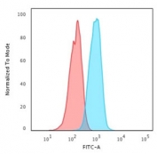 Flow cytometry testing of human MCF7 cells with HER2 ErbB2 antibody (clone HRB2/718); Red=isotype control, Blue= HER2 ErbB2 antibody.