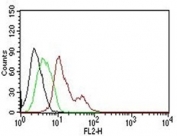 FACS testing of human MCF-7:  Black=cells alone; Green=isotype control; Red= PE conjugated Estrogen Receptor antibody