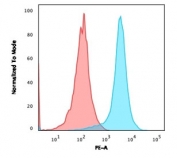 Flow cytometry testing of human Jurkat cells with PE-conjugated CD31 antibody (blue, clone JC/70A) and isotype control (red).