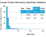 Analysis of HuProt(TM) microarray containing more than 19,000 full-length human proteins using recombinant TP53 antibody (clone rBP53-12). Z- and S- score: The Z-score represents the strength of a signal that an antibody (in combination with a fluorescently-tagged anti-IgG secondary Ab) produces when binding to a particular protein on the HuProt(TM) array. Z-scores are described in units of standard deviations (SD's) above the mean value of all signals generated on that array. If the targets on the HuProt(TM) are arranged in descending order of the Z-score, the S-score is the difference (also in units of SD's) between the Z-scores. The S-score therefore represents the relative target specificity of an Ab to its intended target.