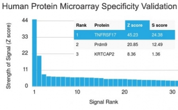 Analysis of HuProt(TM) microarray containing more than 19,000 full-length human proteins using BCMA antibody (clone BCMA/2366). These results demonstrate the foremost specificity of the BCMA/2366 mAb.<BR>Z- and S- score: The Z-score represents the strength of a signal that an antibody (in combination with a fluorescently-tagged anti-IgG secondary Ab) produces when binding to a particular protein on the HuProt(TM) array. Z-scores are described in units of standard deviations (SD's) above the mean value of all signals generated on that array. If the targets on the HuProt(TM) are arranged in descending order of the Z-score, the S-score is the difference (also in units of SD's) between the Z-scores. The S-score therefore represents the relative target specificity of an Ab to its intended target.