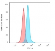 Flow cytometry testing of fixed human T98G cells with Glial Fibrillary Acidic Protein antibody (clone GFAP/2076); Red=isotype control, Blue= Glial Fibrillary Acidic Protein antibody.