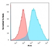 Flow cytometry testing of human Jurkat cells with PD-L1 antibody (clone PDL1/2746); Red=isotype control, Blue= PD-L1 antibody.