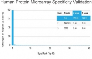 Analysis of HuProt(TM) microarray containing more than 19,000 full-length human proteins using Clusterin antibody (clone CLU/4721). These results demonstrate the foremost specificity of the CLU/4721 mAb. Z- and S- score: The Z-score represents the strength of a signal that an antibody (in combination with a f