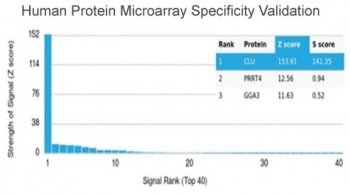 Analysis of HuProt(TM) microarray containing more than 19,000 full-length human proteins using Clusterin antibody (clone CLU/4724). These results demonstrate the foremost specificity of the CLU/4724 mAb. Z- and S- score: The Z-score represents the strength of a signal that an antibody (in combination with a f
