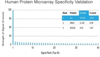 Analysis of HuProt(TM) microarray containing more than 19,000 full-length human proteins using Interleukin-6 antibody (clone IL6/4647). These results demonstrate the foremost specificity of the IL6/4647 mAb. Z- and S- score: The Z-score represents the strength of a signal that an antibody (in combination with