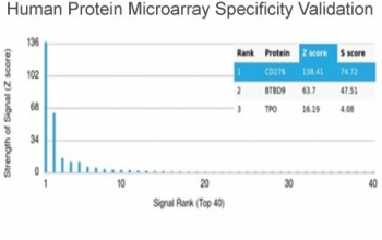 Analysis of HuProt(TM) microarray containing more than 19,000 full-length human proteins using B7-H3 antibody (clone B7H3/4348). These results demonstrate the foremost specificity of the B7H3/4348 mAb. Z- and S- score: The Z-score represents the strength of a signal that an antibody (in combination with a flu