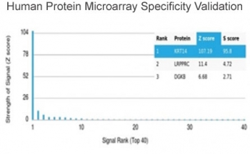 Analysis of HuProt(TM) microarray containing more than 19,000 full-length human proteins using Keratin 14 antibody (clone KRT14/4127). These results demonstrate the foremost specificity of the KRT14/4127 mAb. Z- and S- score: The Z-score represents the strength of a signal that an antibody (in combination wit