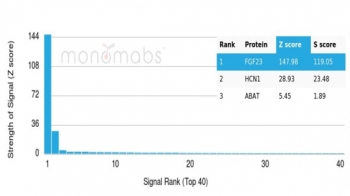 Analysis of a HuProt(TM) microarray containing more than 19,000 full-length human proteins using FGF23 antibody (clone FGF23/6406). Z- and S- Score: The Z-score represents the strength of a signal that a monoclonal antibody (in combination with a fluorescently-tagged anti-IgG secondary antibody) produces when
