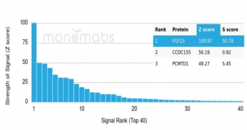 Analysis of a HuProt(TM) microarray containing more than 19,000 full-length human proteins using FGF23 antibody (clone FGF23/6407). Z- and S- Score: The Z-score represents the strength of a signal that a monoclonal antibody (in combination with a fluorescently-tagged anti-IgG secondary antibody) produces when
