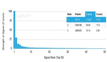 Analysis of a HuProt(TM) microarray containing more than 19,000 full-length human proteins using HIF1A antibody (clone HIF1A/3248). Z- and S- Score: The Z-score represents the strength of a signal that a monoclonal antibody (in combination with a fluorescently-tagged anti-IgG secondary antibody) produces when