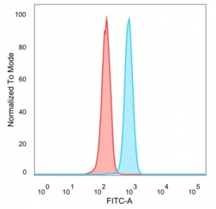 Flow cytometry testing of PFA-fixed human HeLa cells with Forkhead Box I1 antibody (clone PCRP-FOXI1-1C4) followed by goat anti-mouse IgG-CF488 (blue), Red = unstained cells.~