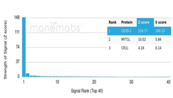 Analysis of a HuProt(TM) microarray containing >19,000 full-length human proteins using Monospecific to CD35 antibody (clone CR1/6379). Z- and S- Score: The Z-score represents the strength of a signal that a monoclonal antibody (in combination with a fluorescently-tagged anti-IgG secondary antibody) produces