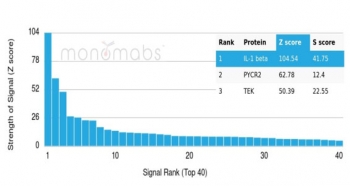 Analysis of a HuProt(TM) microarray containing more than 19,000 full-length human proteins using Interleukin-1 beta antibody (clone IL1B/4649). Z- and S- Score: The Z-score represents the strength of a signal that a monoclonal antibody (in combination with a fluorescently-tagged anti-IgG secondary antibody) p