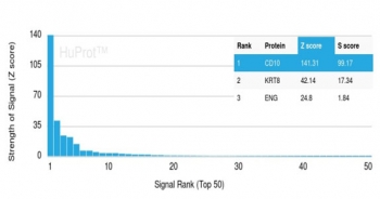 Analysis of a HuProt(TM) microarray containing >19,000 full-length human proteins using CD10 antibody (clone MME/4237). Z- and S- Score: The Z-score represents the strength of a signal that a monoclonal antibody (in combination with a fluorescently-tagged anti-IgG secondary antibody) produces when binding to