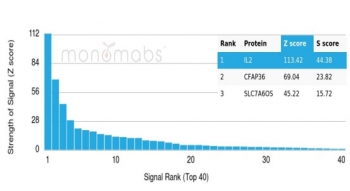 Analysis of a HuProt(TM) microarray containing more than 19,000 full-length human proteins using Interleukin-2 antibody (clone IL2/4988). Z- and S- Score: The Z-score represents the strength of a signal that a monoclonal antibody (in combination with a fluorescently-tagged anti-IgG secondary antibody) produce