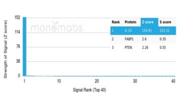 Analysis of a HuProt(TM) microarray containing >19,000 full-length human proteins using Interleukin-15 antibody (clone IL15/4696). Z- and S- Score: The Z-score represents the strength of a signal that a monoclonal antibody (in combination with a fluorescently-tagged anti-IgG secondary antibody) produces when