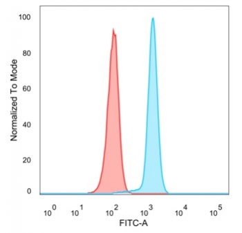Flow cytometry testing of human HeLa cells with CDC5L antibody (clone PCRP-CDC5L-2C6) followed by goat anti-mouse IgG-CF488 (blue); isotype control (red).~