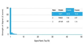 Analysis of a HuProt(TM) microarray containing more than 19,000 full-length human proteins using TIMP1 antibody (clone TIMP1/2605). Z- and S- Score: The Z-score represents the strength of a signal that a monoclonal antibody (in combination with a fluorescently-tagged anti-IgG secondary antibody) produces when